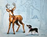 “Hello there Mister Deer" - J. Austin Ryan - art & illustration by Marnie V.