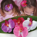 Orchid Clip ~ HR1065