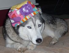 Mable in her hat.  She never wore hats before.  