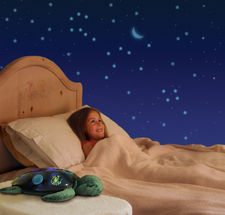 Transform Any Room Into A Starry Night Sky